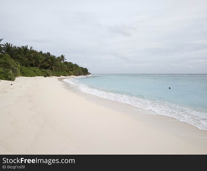 Beach, Coastal And Oceanic Landforms, Body Of Water, Shore