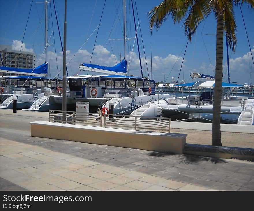 Marina, Boat, Dock, Sailboat