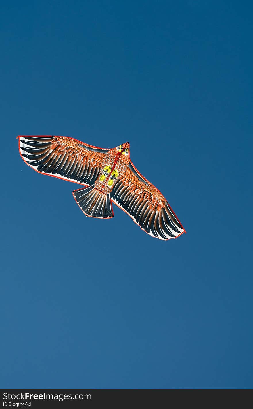 Sky, Fauna, Bird, Beak