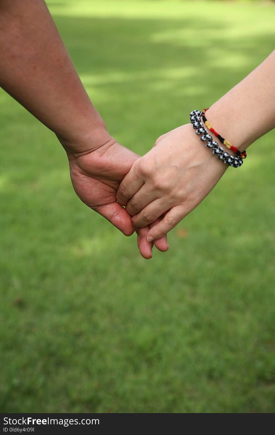 Photograph, Hand, Grass, Holding Hands