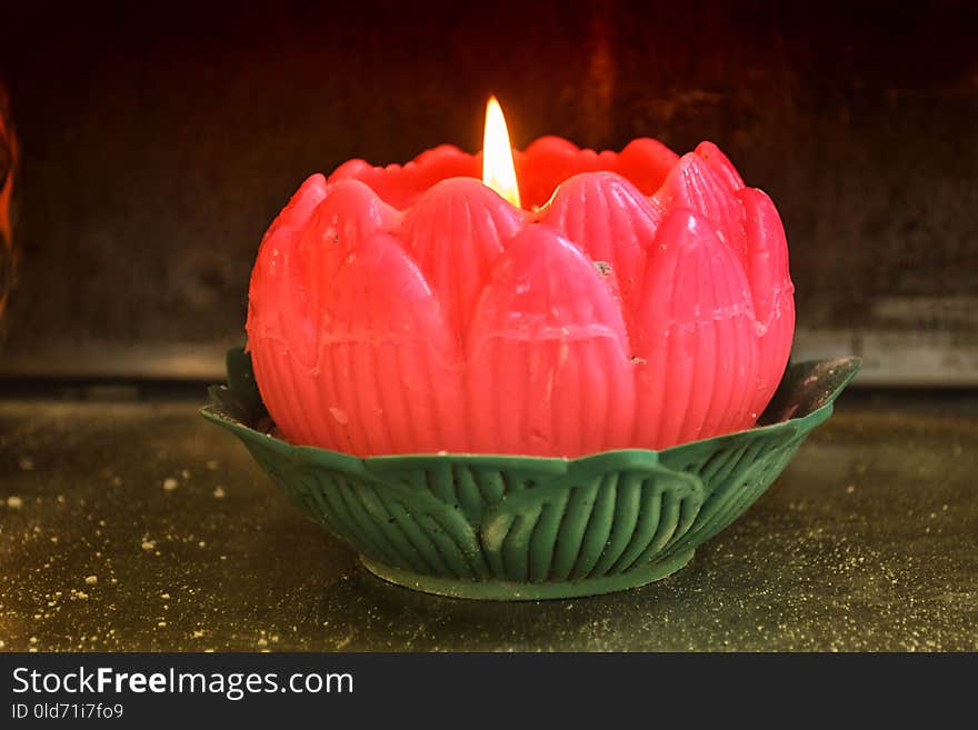 Flower, Petal, Lighting, Candle