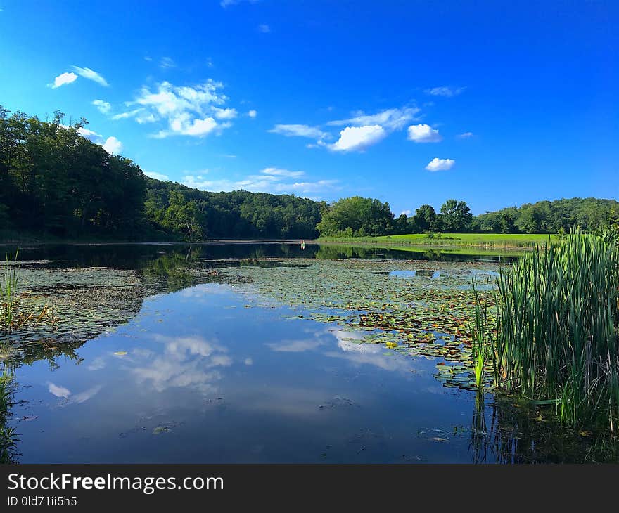 Reflection, Nature, Sky, Water Resources