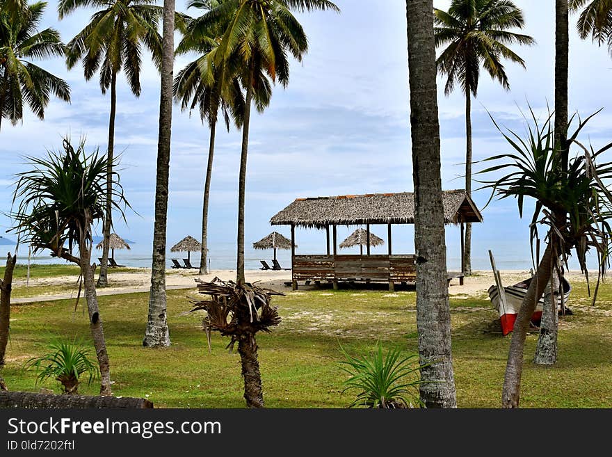 Property, Resort, Palm Tree, Arecales