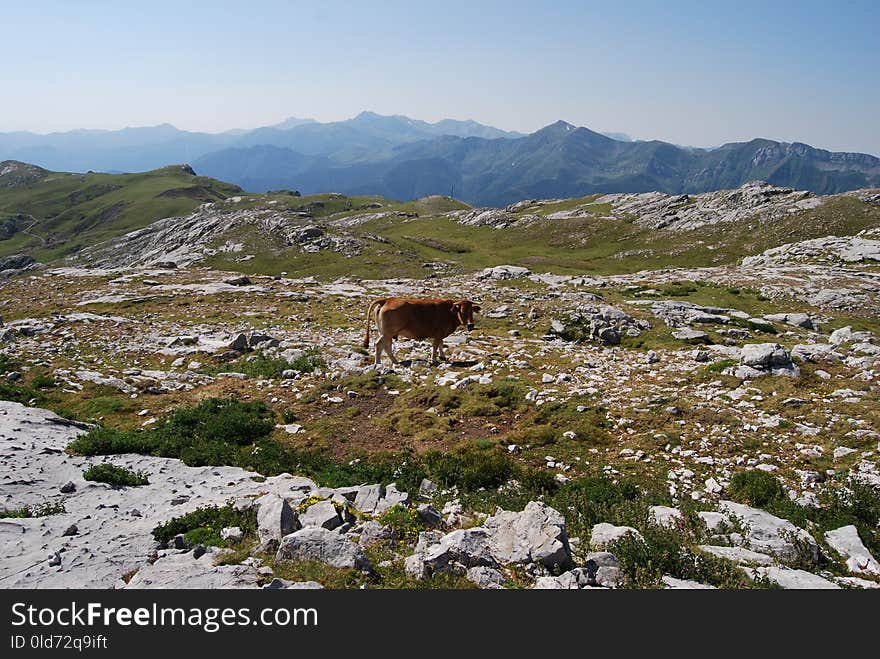 Mountain, Wilderness, Mountainous Landforms, Tundra