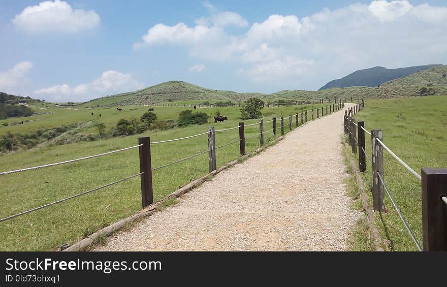 Grassland, Pasture, Nature Reserve, Path