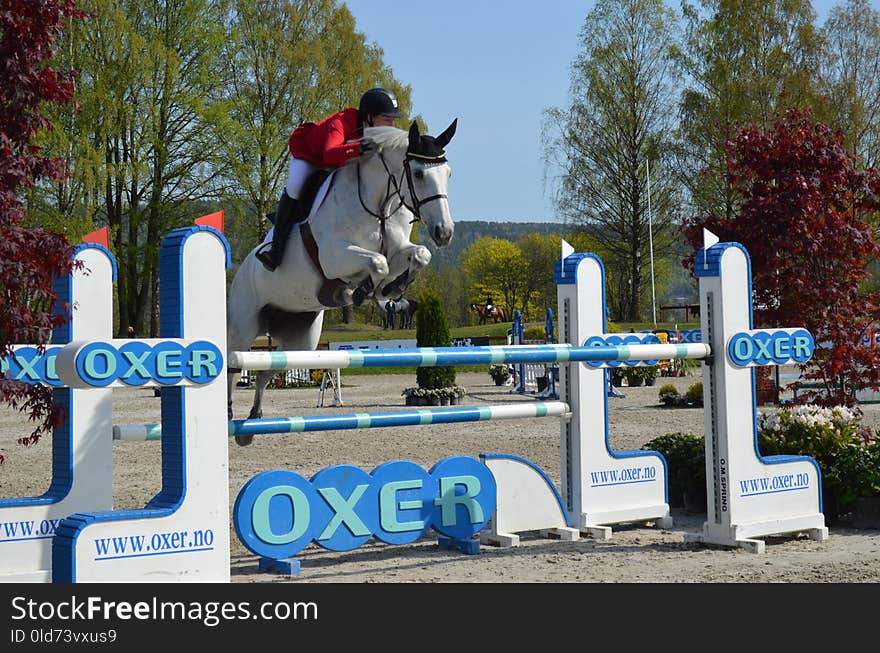 English Riding, Horse, Show Jumping, Equestrianism