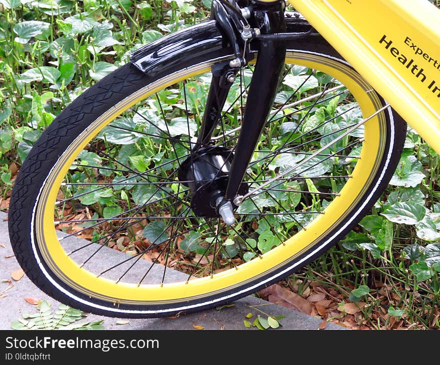 Road Bicycle, Wheel, Spoke, Tire