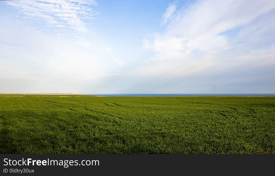 Grassland, Sky, Field, Ecosystem