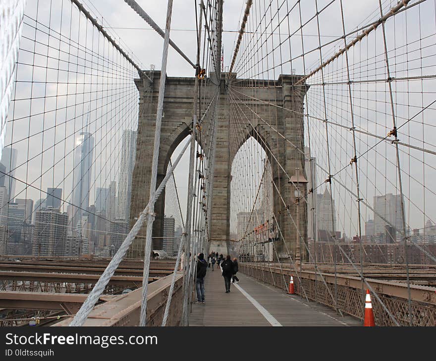 Bridge, Structure, Cable Stayed Bridge, Urban Area