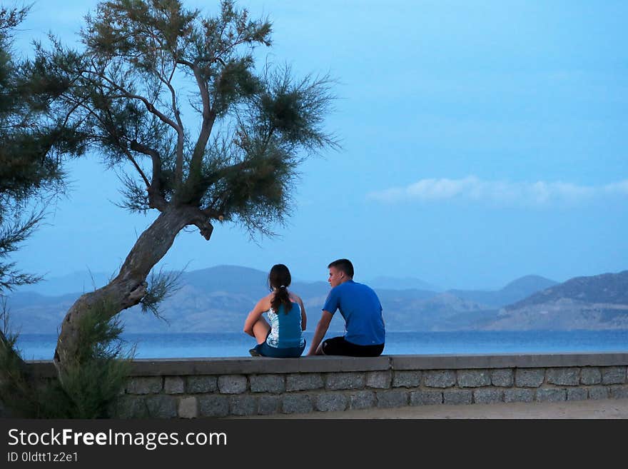 Photograph, Sky, Tree, Leisure