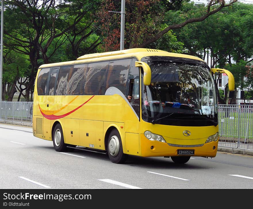 Bus, Motor Vehicle, Transport, Tour Bus Service