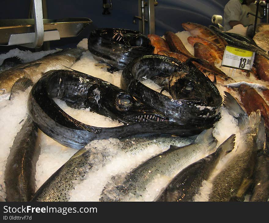 Fish, Animal Source Foods, Seafood, Reptile