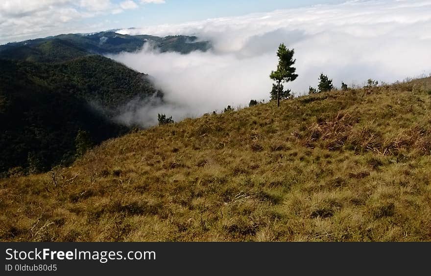 Highland, Wilderness, Ridge, Vegetation