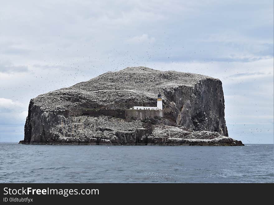 Coastal And Oceanic Landforms, Sea, Promontory, Rock