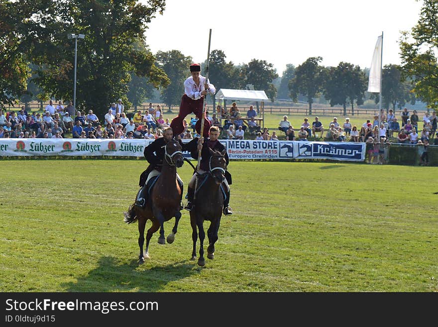 Horse, Equestrianism, Jockey, Horse Like Mammal