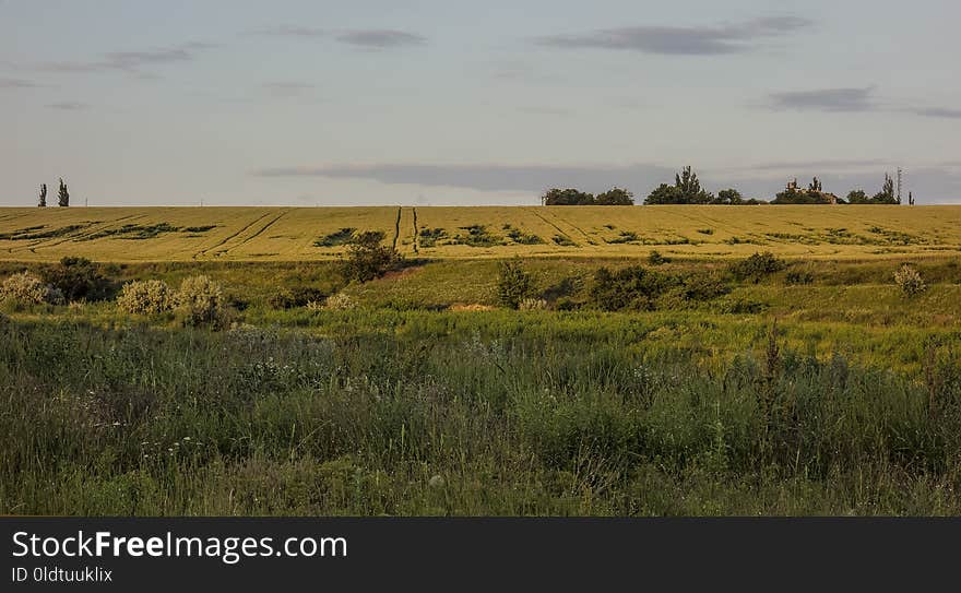 Grassland, Ecosystem, Prairie, Plain