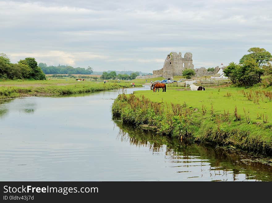 Waterway, Bank, Reflection, Nature Reserve