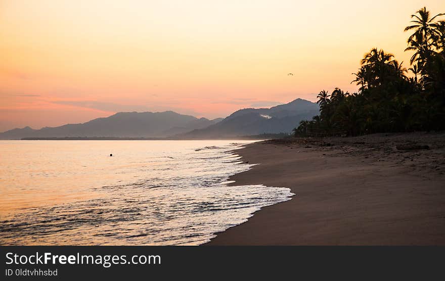 Sea, Coast, Body Of Water, Sky