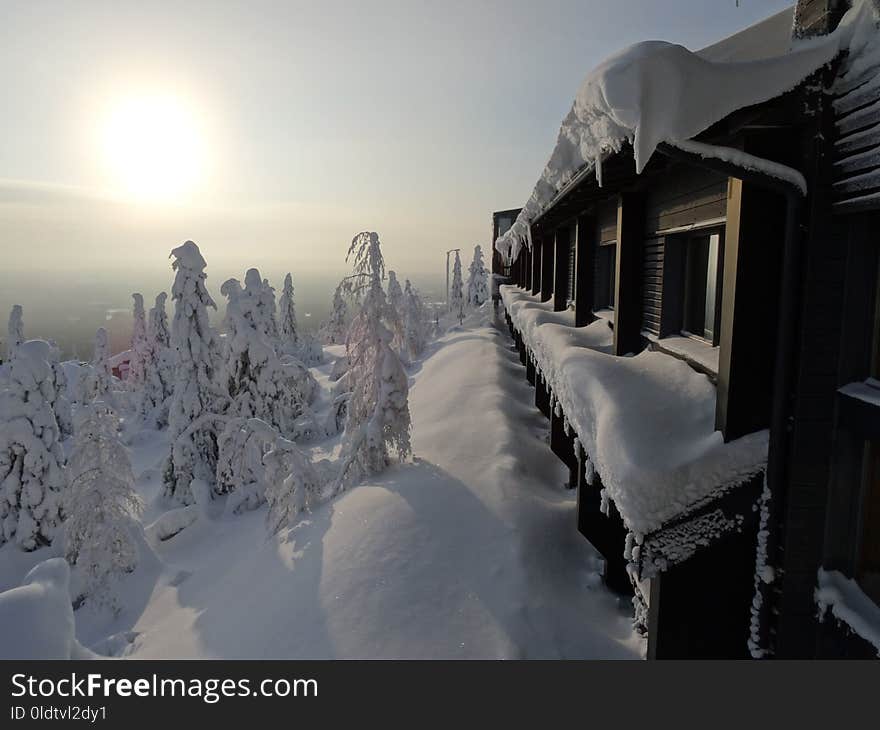 Snow, Winter, Freezing, Sky