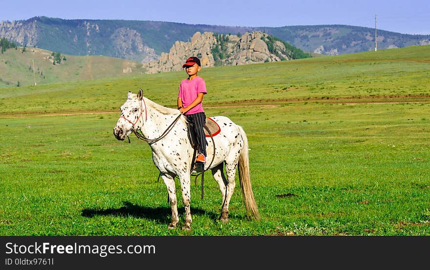 Grassland, Ecosystem, Trail Riding, Pasture