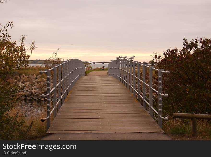 Sky, Walkway, Boardwalk, Morning