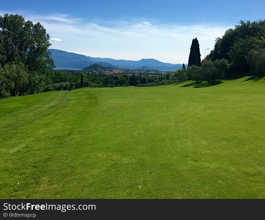 Grassland, Pasture, Meadow, Grass