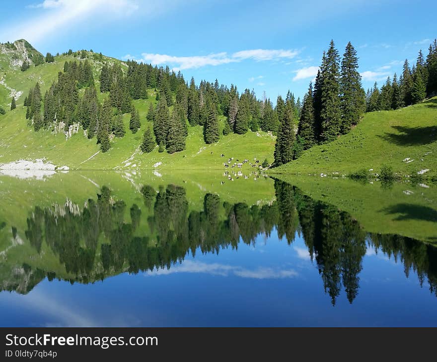 Reflection, Nature, Wilderness, Mount Scenery