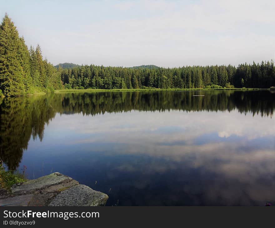 Reflection, Water, Nature, Lake