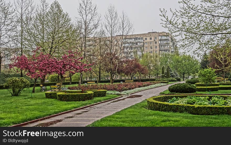 Garden, Tree, Plant, Botanical Garden