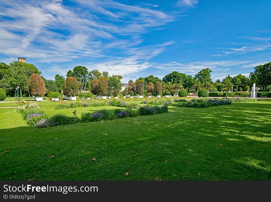 Sky, Nature, Garden, Vegetation