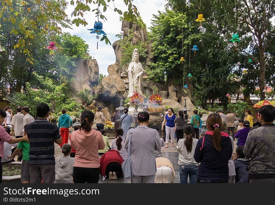 Crowd, Town, Tree, Tourism