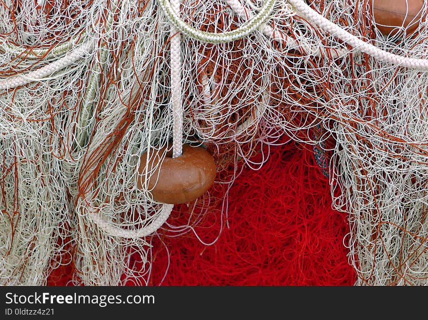 Fishing Net, Thread, Branch