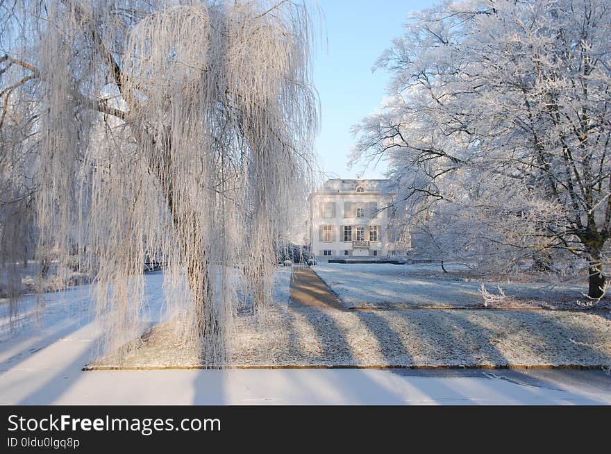 Winter, Frost, Freezing, Snow