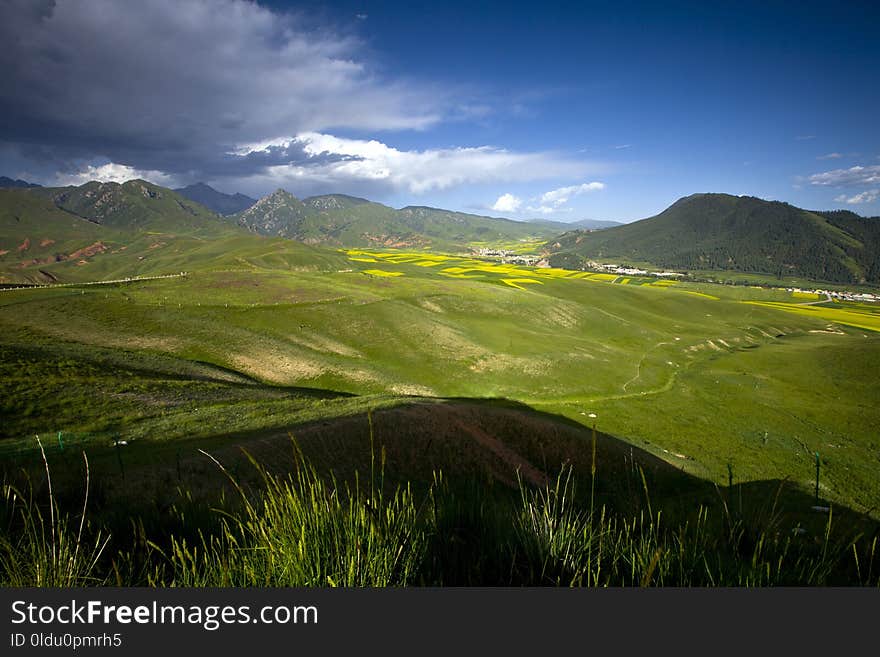 Grassland, Nature, Highland, Green