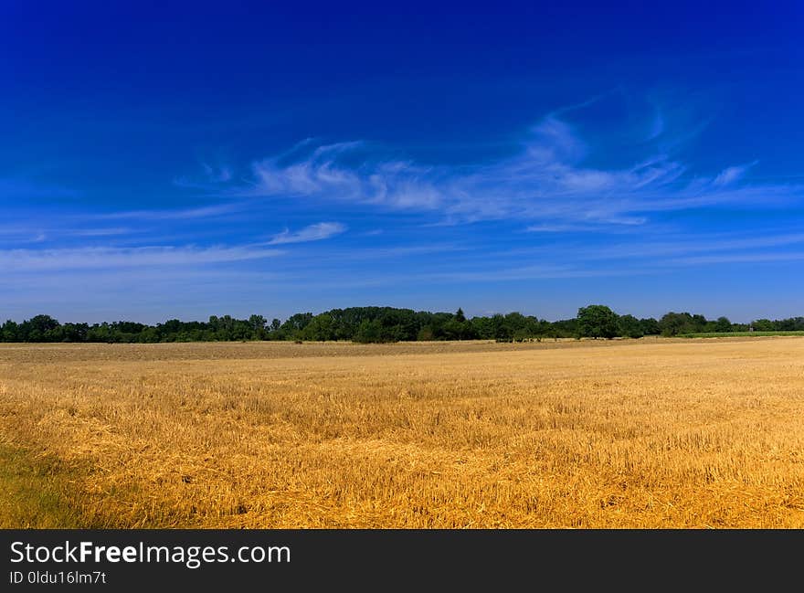 Sky, Grassland, Field, Prairie