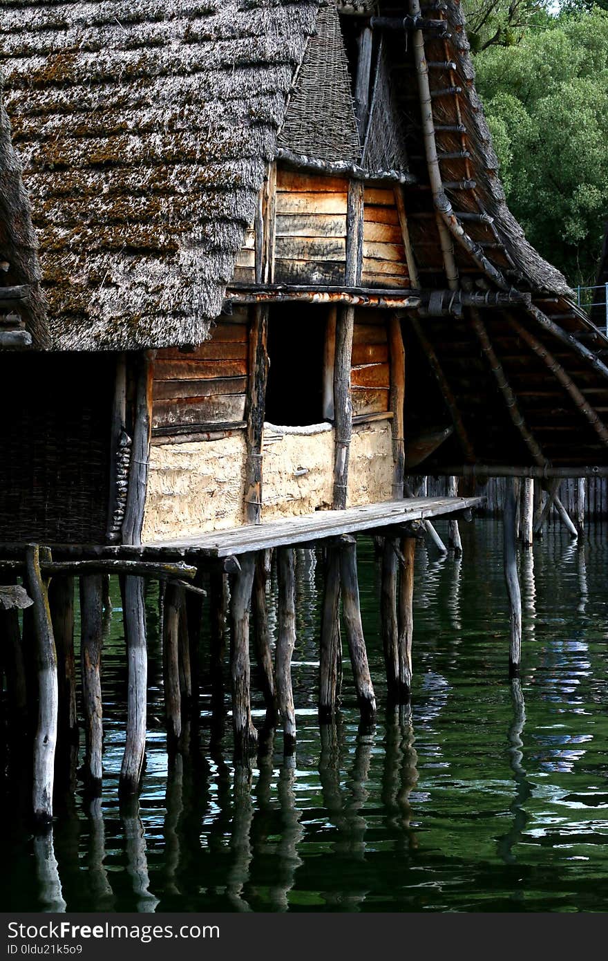 Water, Reflection, Wood, Tree