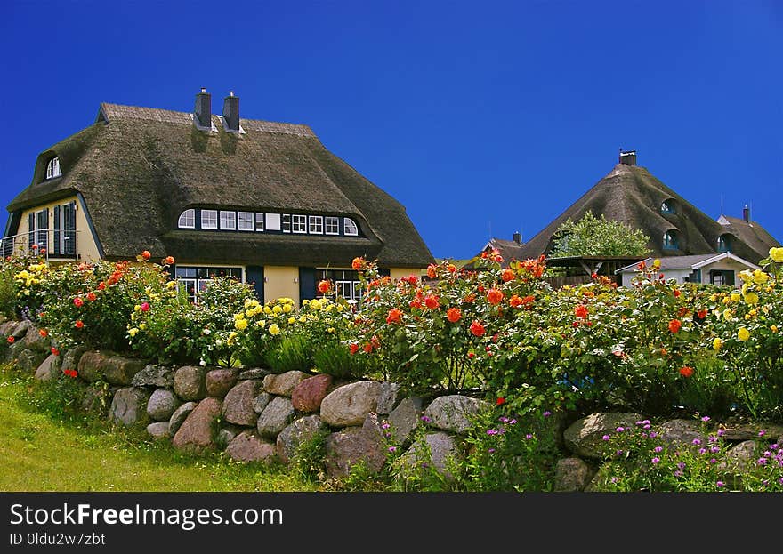 Flower, Cottage, Sky, House