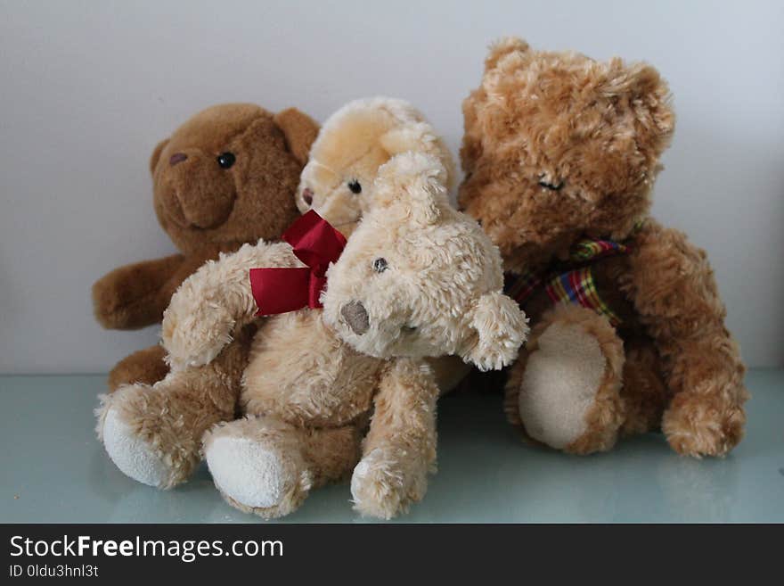 Stuffed Toy, Teddy Bear, Toy, Plush