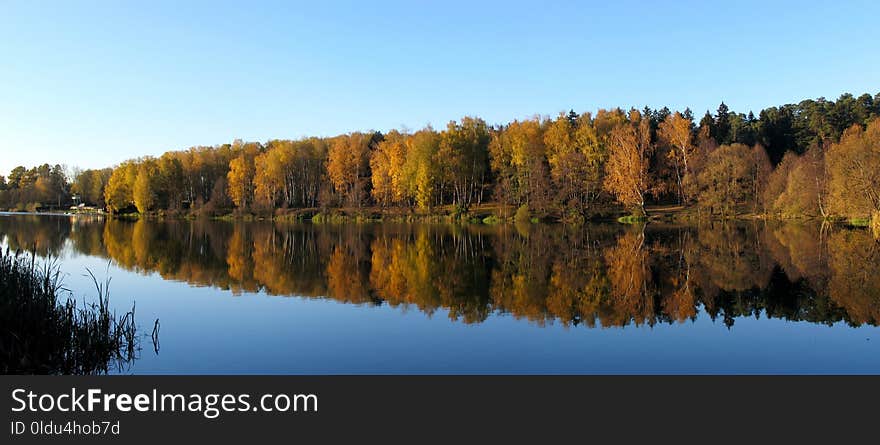 Reflection, Water, Nature, Lake