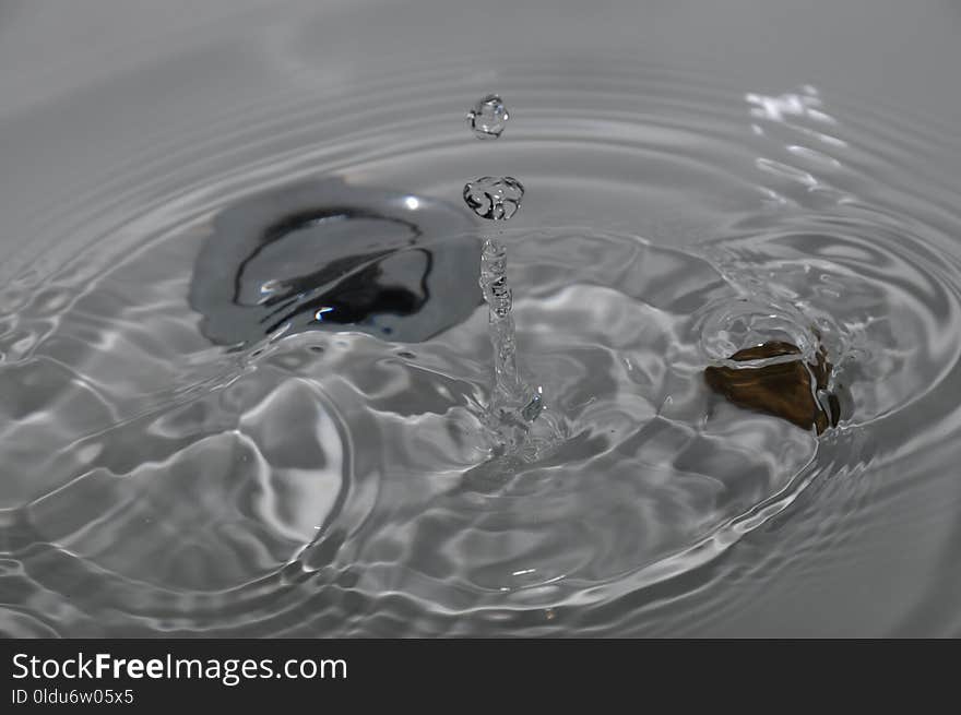 Water, Drop, Close Up, Black And White