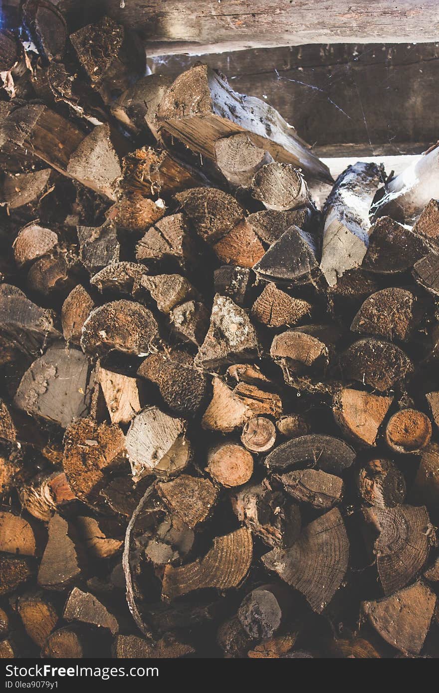 Firewood For The Winter, Stacks Of Firewood, Pile Of Firewood.