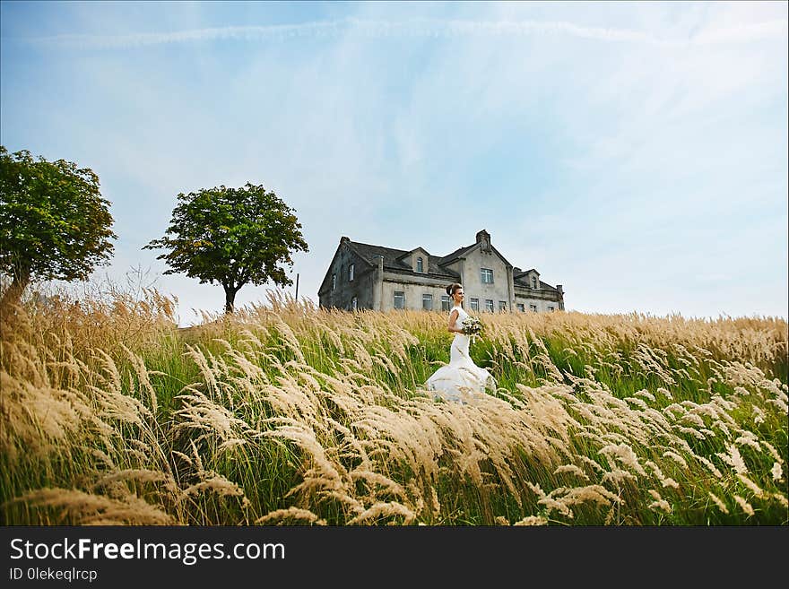 Beautiful and elegant young brunette woman in stylish wedding dress with bouquet of flowers in her hands posing in the field in front of ancient house.