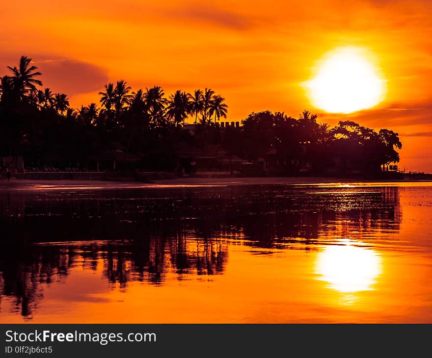 Beautiful tropical beach sea and ocean with coconut palm tree at sunrise time for travel and vacation