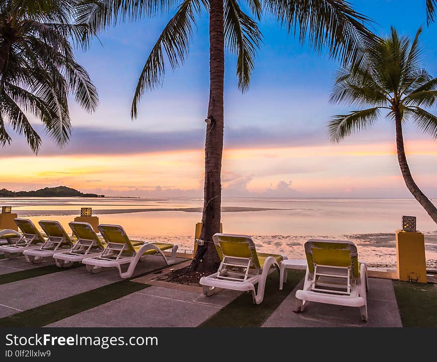 Beautiful tropical beach sea and ocean with coconut palm tree at sunrise time for travel and vacation