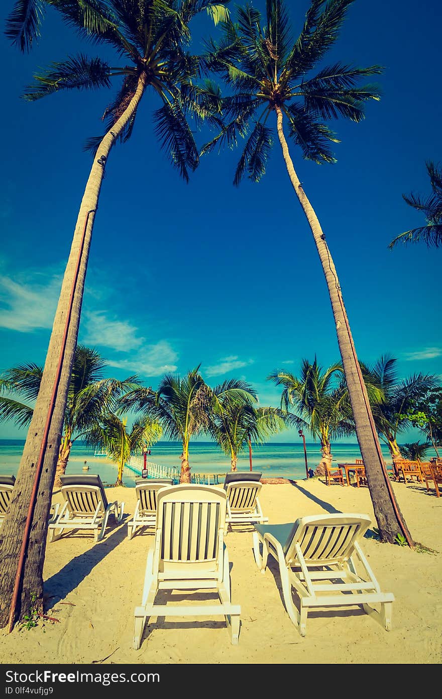 Beautiful outdoor sea and ocean view with umbrella and chair around coconut palm tree for travel and vacation. Beautiful outdoor sea and ocean view with umbrella and chair around coconut palm tree for travel and vacation