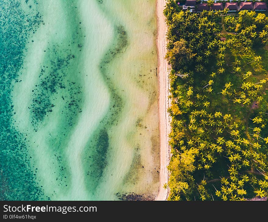 Aerial view of beautiful tropical beach and sea with trees on is