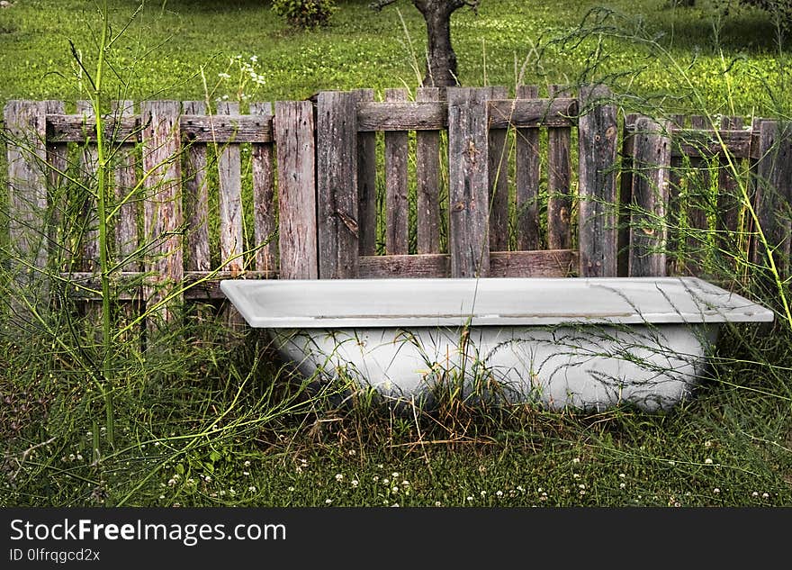 Grass, Tree, Bench, Wood