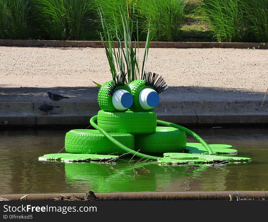 Green, Water, Grass, Plant