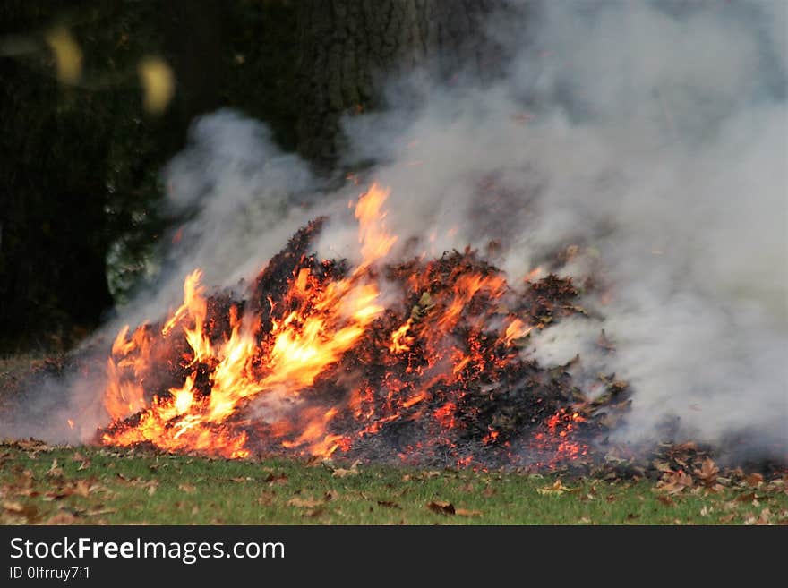 Wildfire, Geological Phenomenon, Fire, Smoke