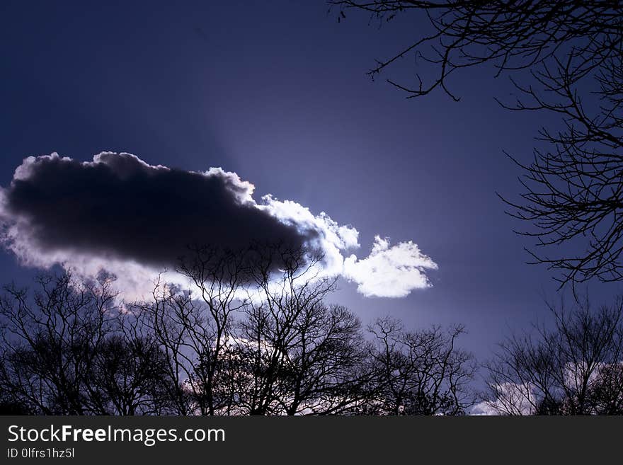 Sky, Cloud, Cumulus, Atmosphere